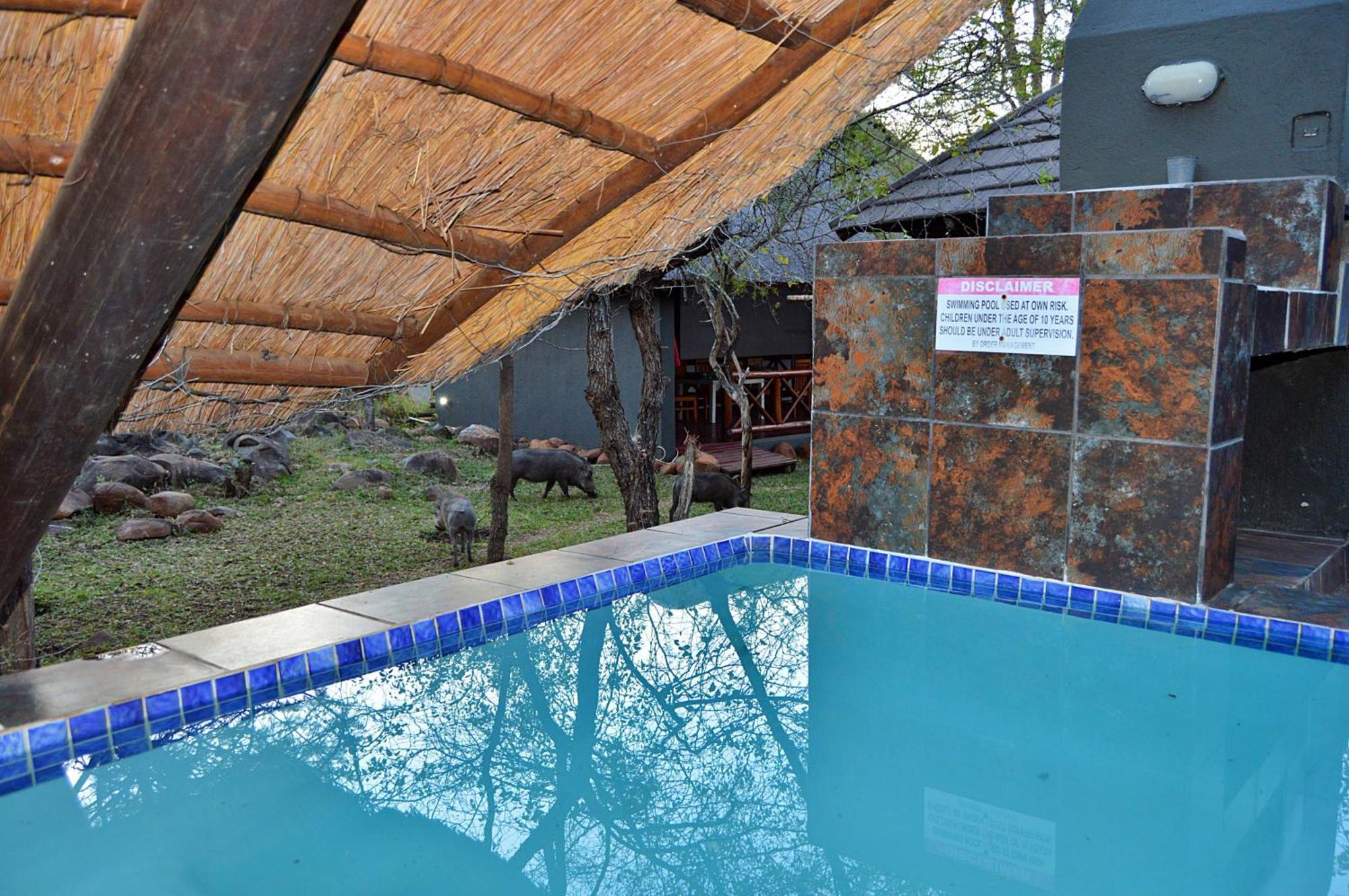Royal Marlothi Kruger Safari Lodge And Spa Marloth Park Eksteriør bilde