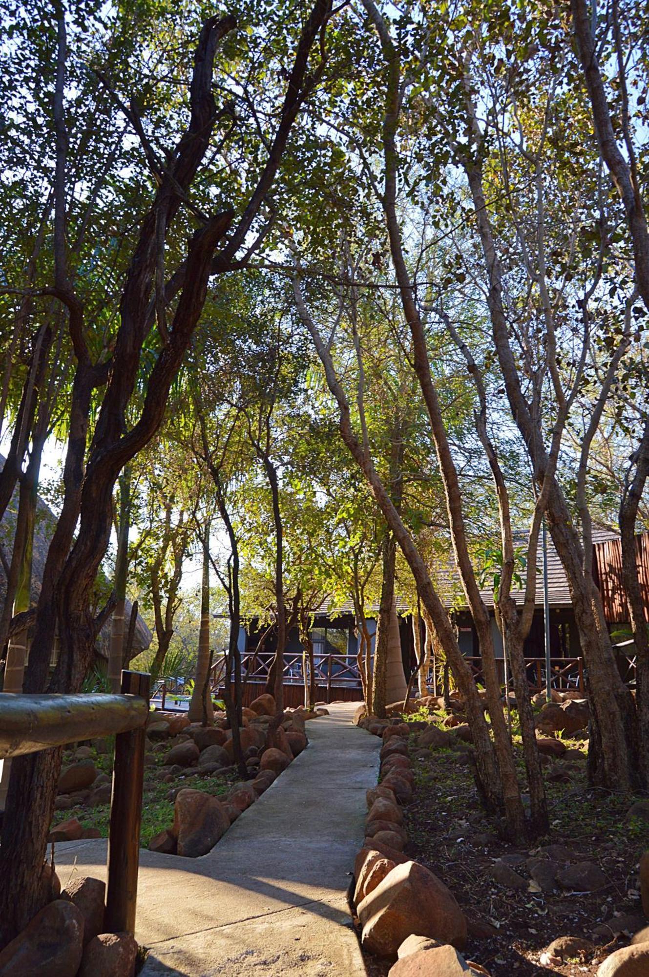 Royal Marlothi Kruger Safari Lodge And Spa Marloth Park Eksteriør bilde