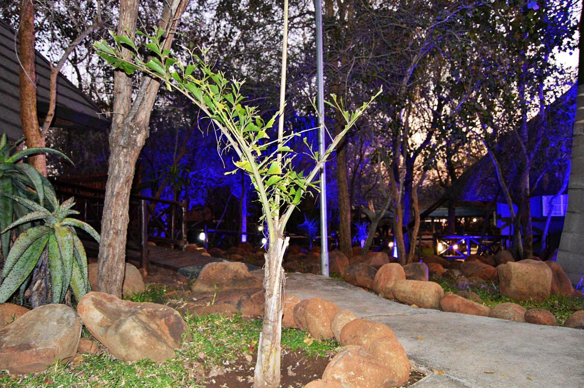 Royal Marlothi Kruger Safari Lodge And Spa Marloth Park Eksteriør bilde